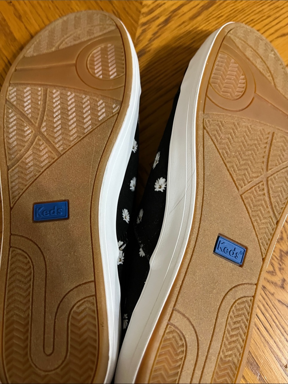 Keds Black Daisy Canvas Sneakers with White Laces - Picture 6 of 8